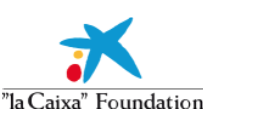 Logo la Caixa Foundation