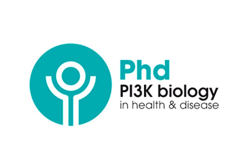 PhD-PI3K-program