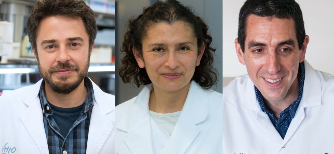 WhatsApp-Image-2021-12-15-at-12.39.59-PM-1