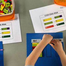 Piezas de lego del taller de mutaciones genéticas del VHIO con manos infantiles