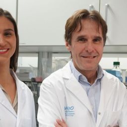 Joaquin Arribas, Macarena Román, CAR-T, laboratorio VHIO