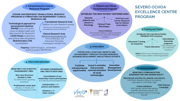 VHIO Severo Ochoa Diagrama Programas