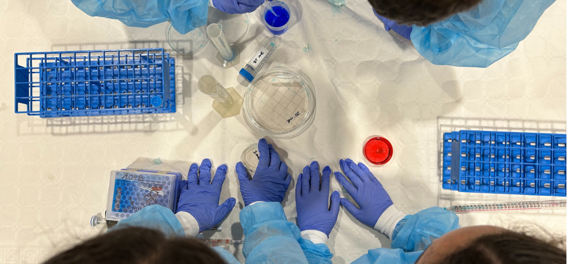 Escola i Ciència 2025-2026