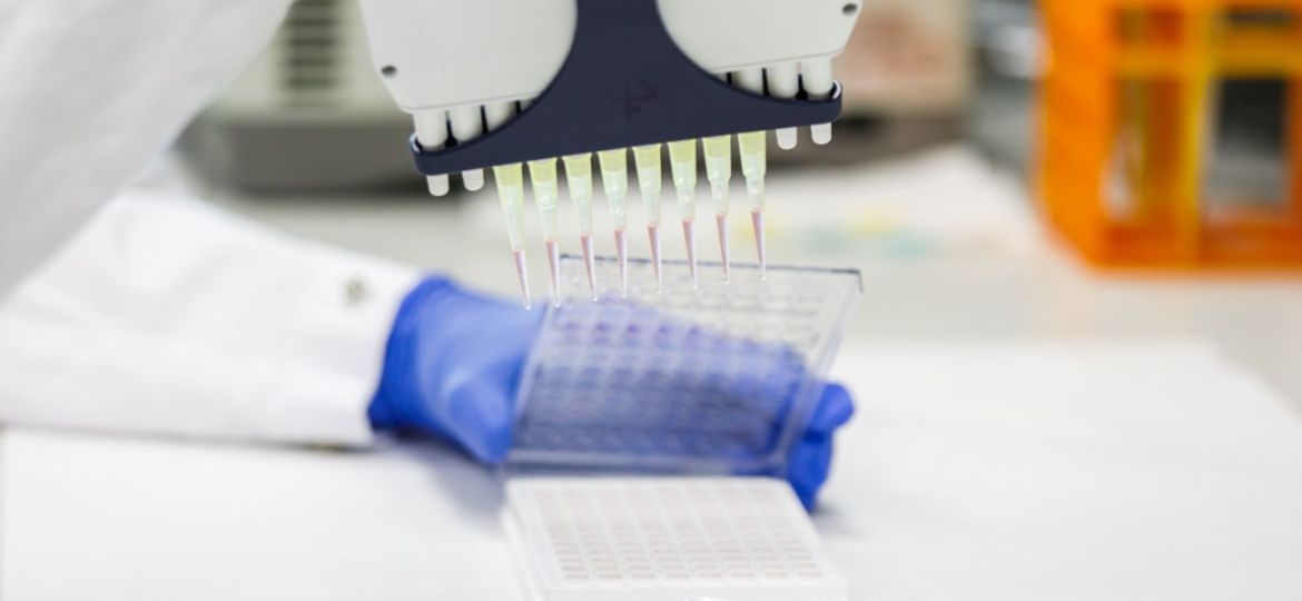 BANNER WEB VHIO 1300x600 (2)