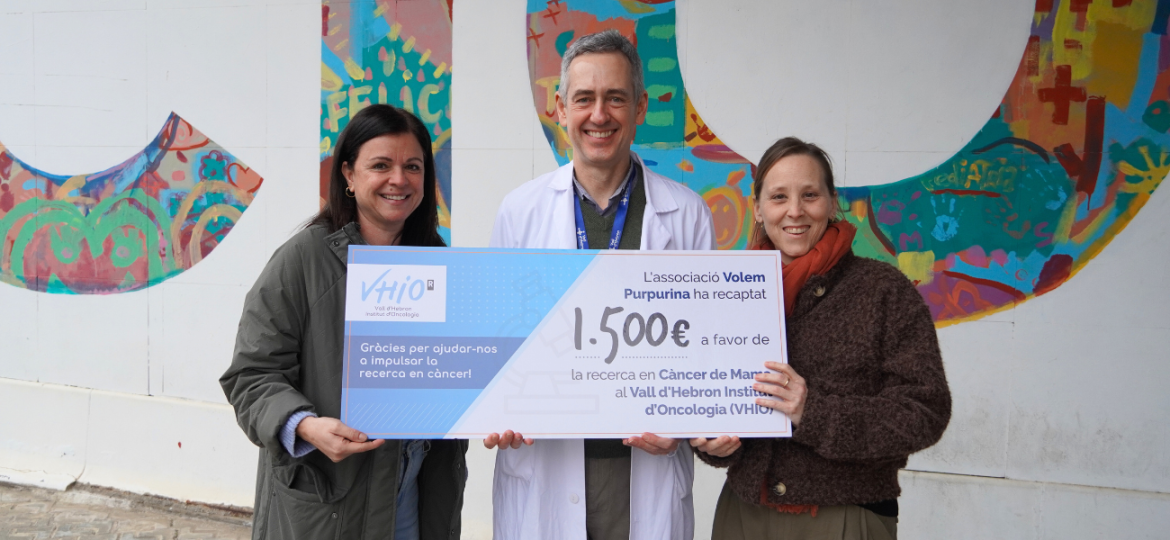 BANNER WEB VHIO VOLEM PURPURINA