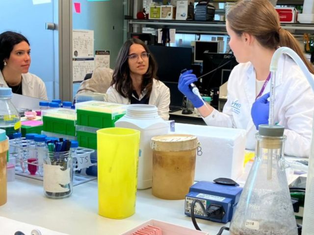 Portada web_RECORTEE