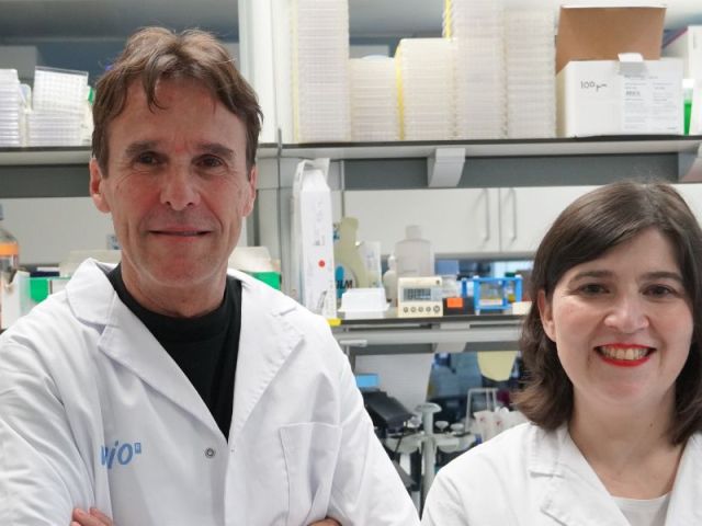 BANNER WEB VHIO 1300x600 (16)