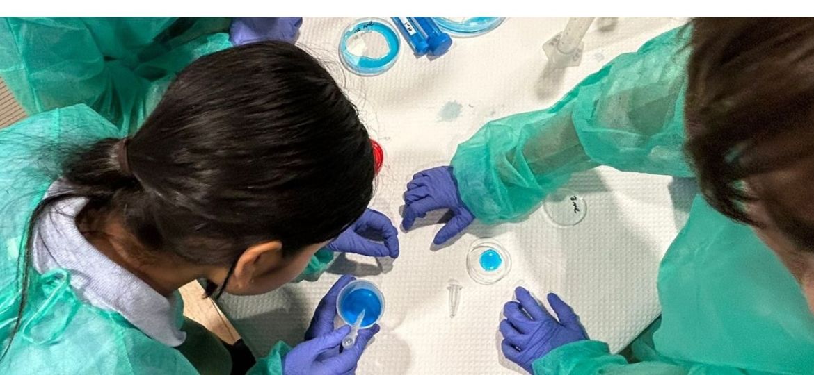 ESCOLA i CIÈNCIA VHIO 2026