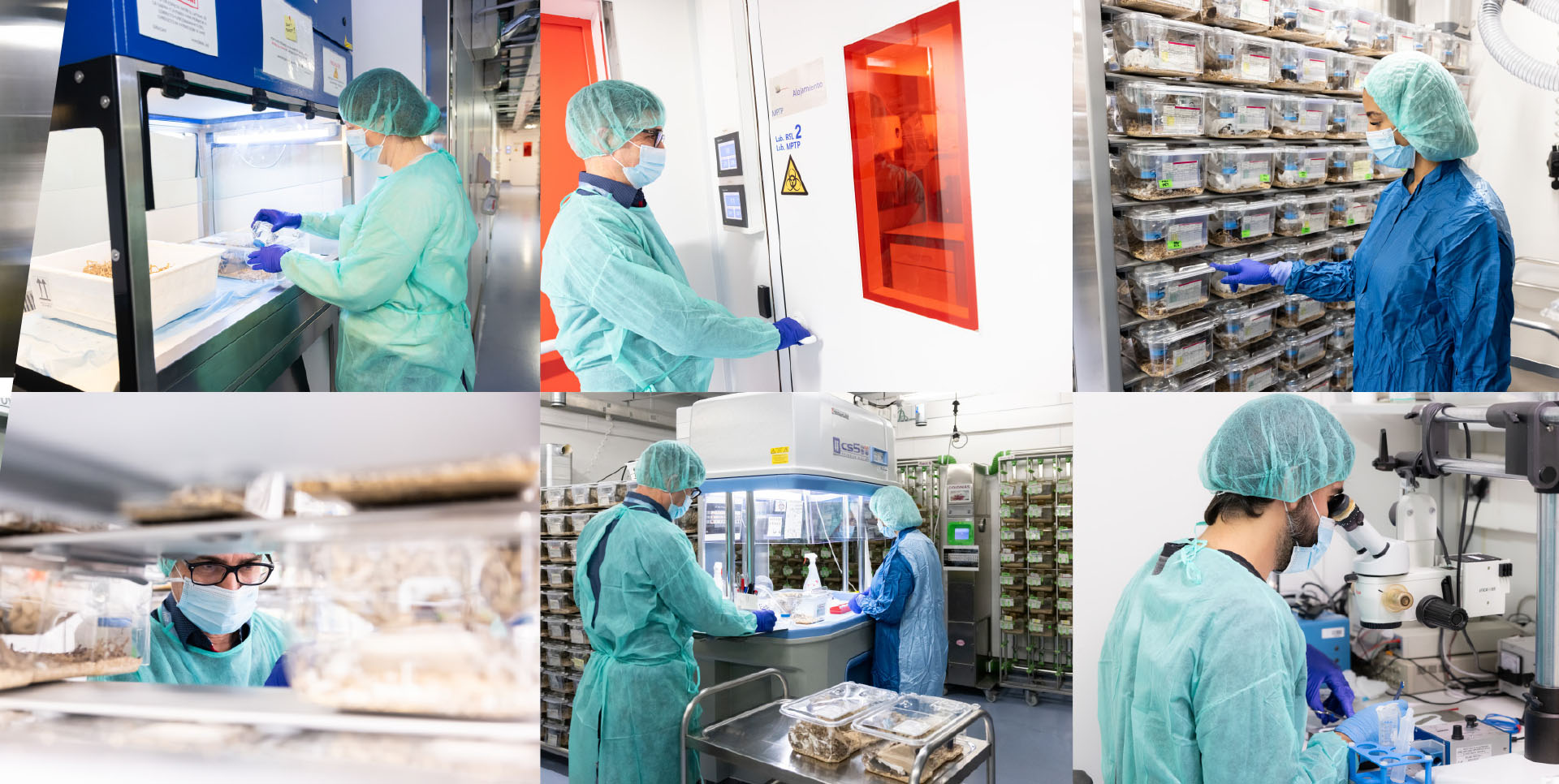 Laboratory Animal Service (LAS)