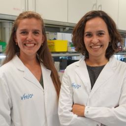 CancerDiscovery